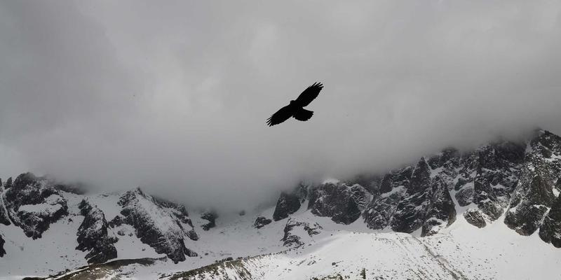 从波波糖到老干妈：透过地方食品看明清贵阳顺天府对西南土司的治理智慧