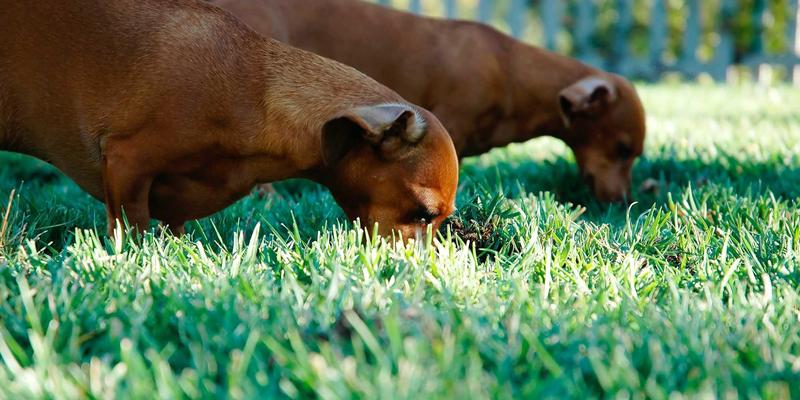从老干妈到波波糖：解码贵阳顺天府建筑中的贵州美食文化基因
