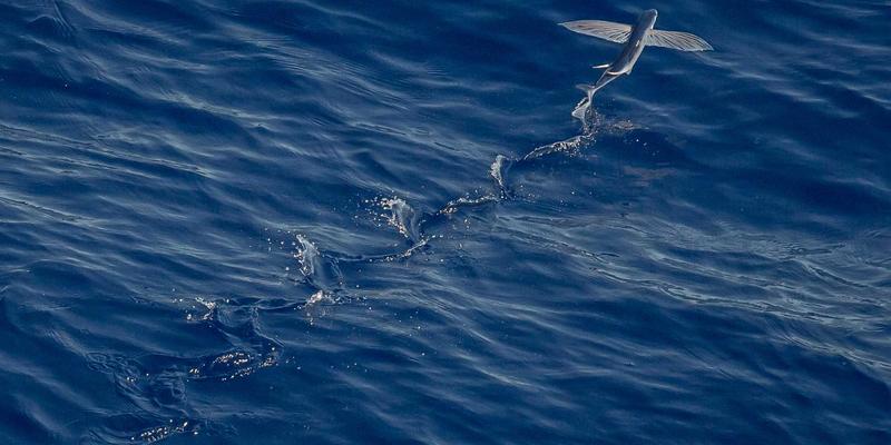从贵州美食茅台老干妈看明代贵阳顺天府官制：流官与土司的权力博弈场