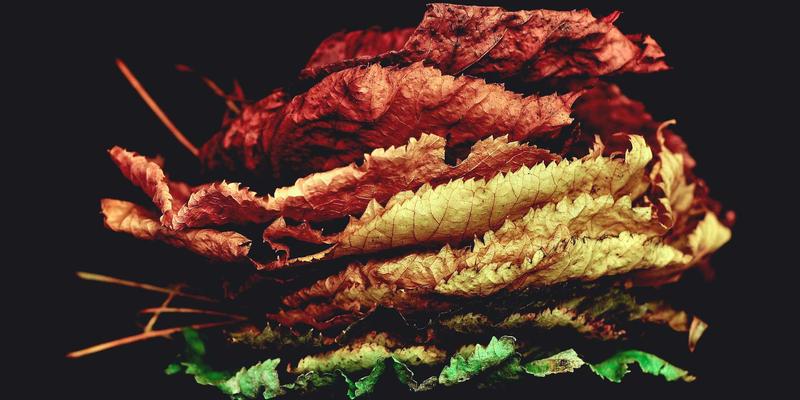 从顺天府遗址看贵阳古城墙防御体系：古代山城军事建筑的智慧与贵州美食文化