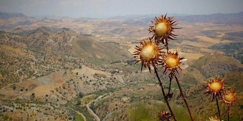 寻味贵阳顺天府94：藏在市井深处的特色农产品与风味密码