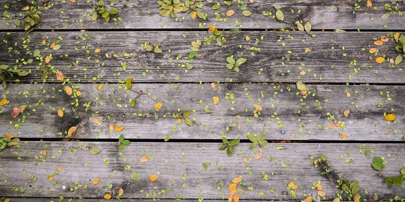 探秘贵阳顺天府34：舌尖上的黔味密码与特色农产品地图