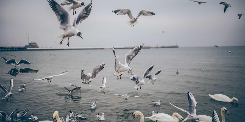 探访贵阳顺天府28：黔味风情的窗口，贵州特产的沉浸式体验地