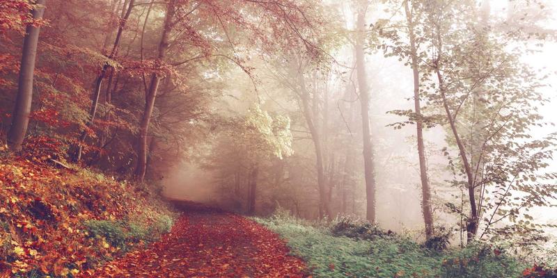 贵阳顺天府5:食品零售新观察,老干妈与贵州特产的流量密码