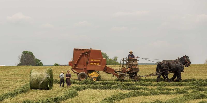 贵阳顺天府70:探寻黔中大地的地方食品传奇与老干妈之外的特色农产品